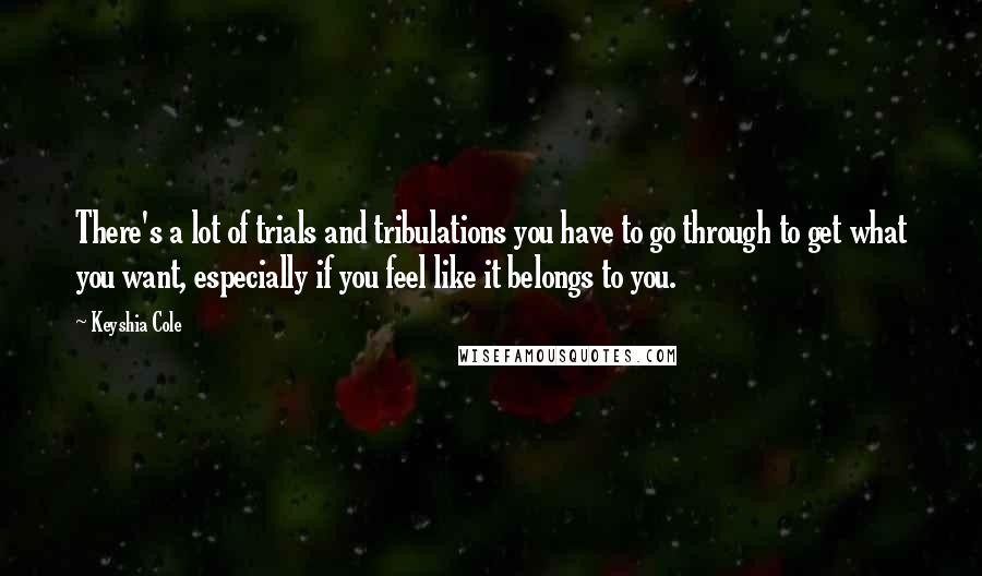 Keyshia Cole Quotes: There's a lot of trials and tribulations you have to go through to get what you want, especially if you feel like it belongs to you.