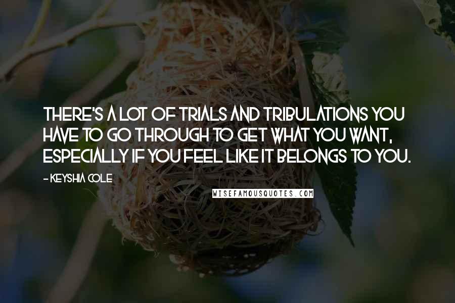 Keyshia Cole Quotes: There's a lot of trials and tribulations you have to go through to get what you want, especially if you feel like it belongs to you.