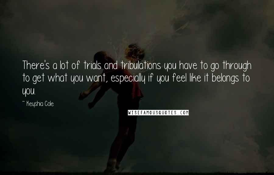 Keyshia Cole Quotes: There's a lot of trials and tribulations you have to go through to get what you want, especially if you feel like it belongs to you.