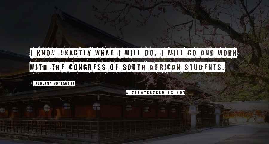 Kgalema Motlanthe Quotes: I know exactly what I will do. I will go and work with the Congress of South African Students.