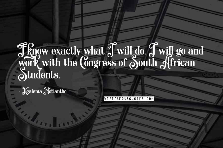 Kgalema Motlanthe Quotes: I know exactly what I will do. I will go and work with the Congress of South African Students.