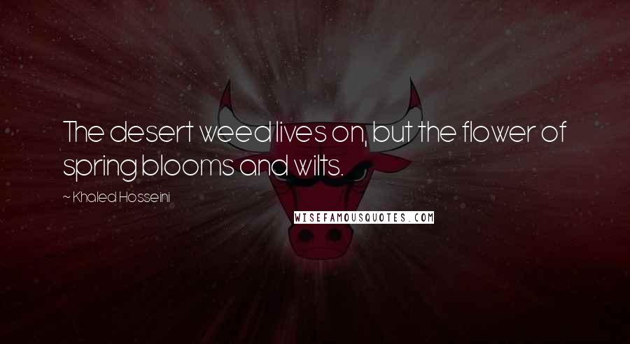 Khaled Hosseini Quotes: The desert weed lives on, but the flower of spring blooms and wilts.