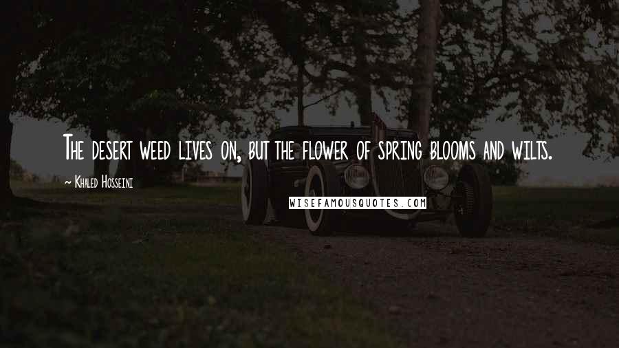 Khaled Hosseini Quotes: The desert weed lives on, but the flower of spring blooms and wilts.