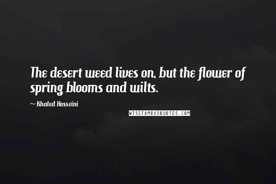Khaled Hosseini Quotes: The desert weed lives on, but the flower of spring blooms and wilts.