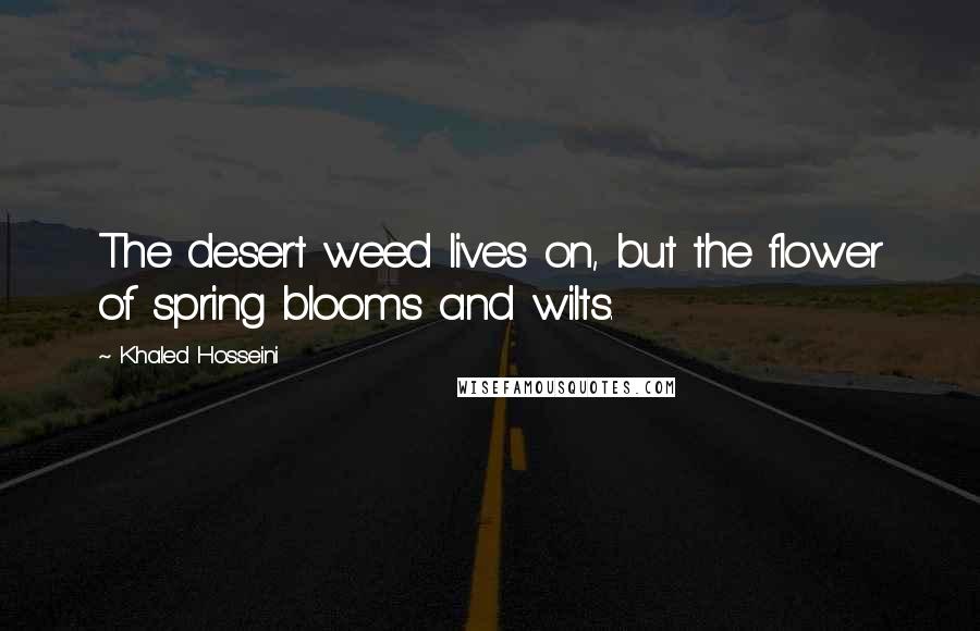Khaled Hosseini Quotes: The desert weed lives on, but the flower of spring blooms and wilts.