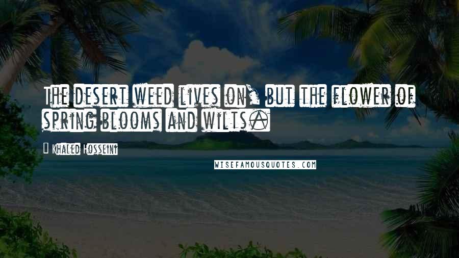 Khaled Hosseini Quotes: The desert weed lives on, but the flower of spring blooms and wilts.