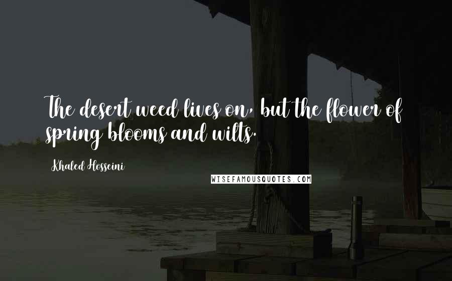Khaled Hosseini Quotes: The desert weed lives on, but the flower of spring blooms and wilts.
