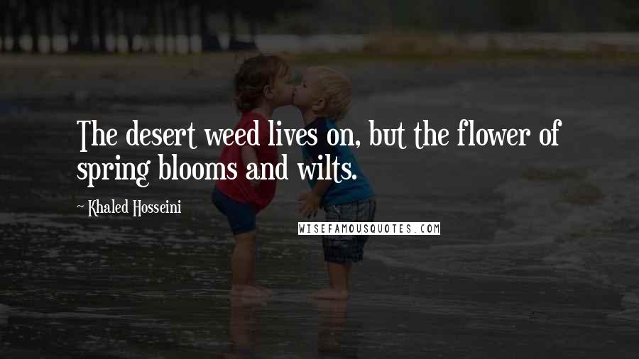 Khaled Hosseini Quotes: The desert weed lives on, but the flower of spring blooms and wilts.