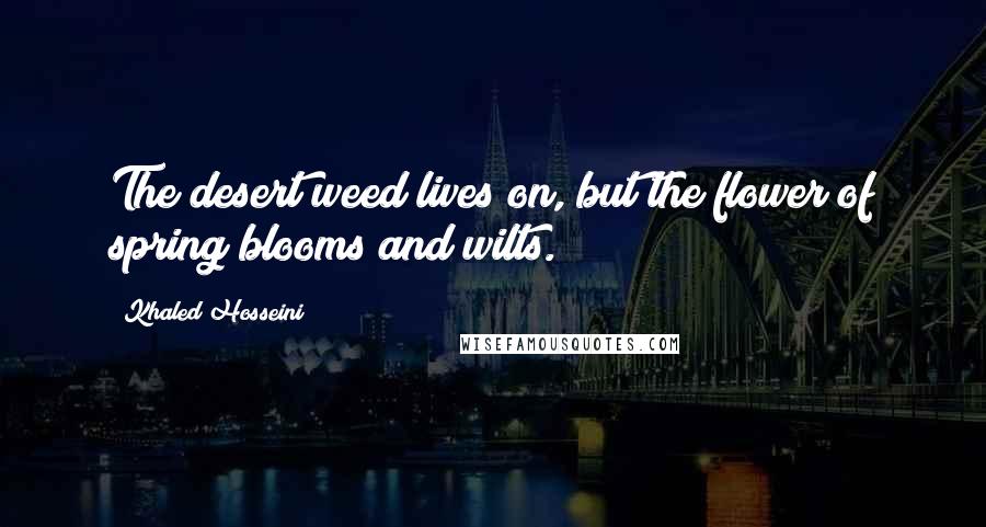 Khaled Hosseini Quotes: The desert weed lives on, but the flower of spring blooms and wilts.