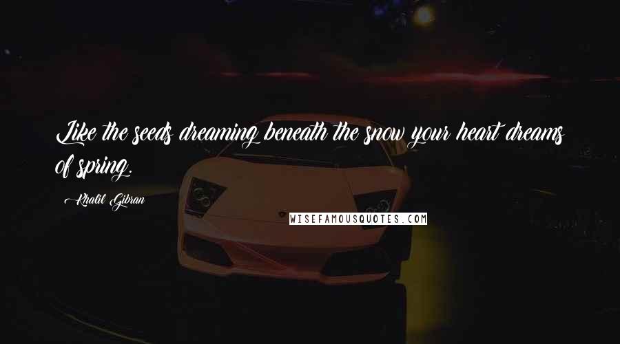 Khalil Gibran Quotes: Like the seeds dreaming beneath the snow your heart dreams of spring.