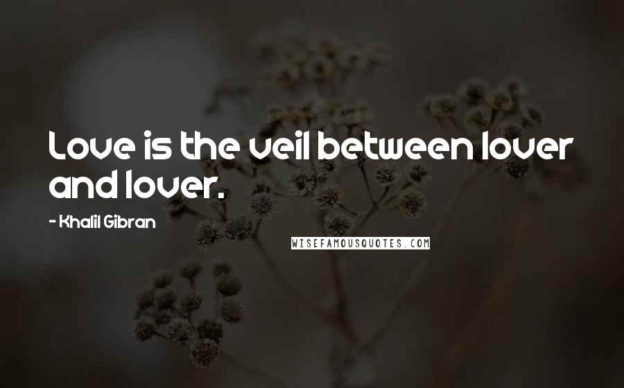 Khalil Gibran Quotes: Love is the veil between lover and lover.