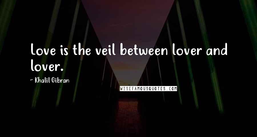 Khalil Gibran Quotes: Love is the veil between lover and lover.