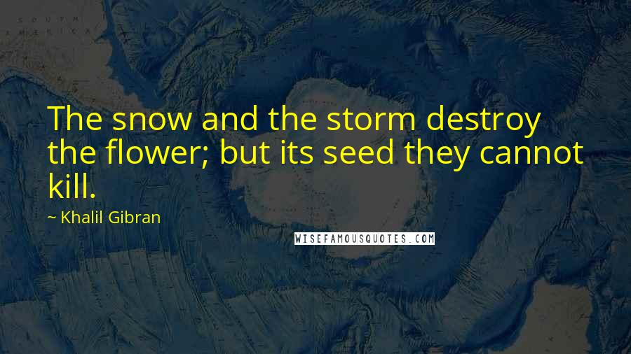 Khalil Gibran Quotes: The snow and the storm destroy the flower; but its seed they cannot kill.