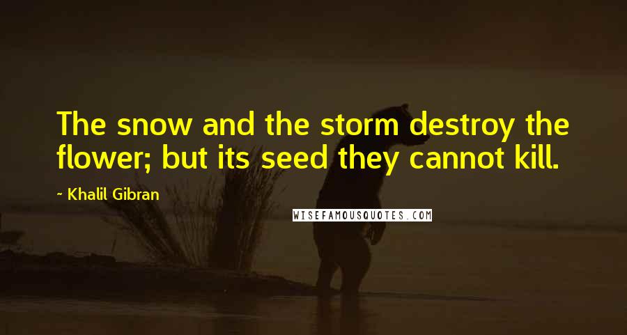 Khalil Gibran Quotes: The snow and the storm destroy the flower; but its seed they cannot kill.