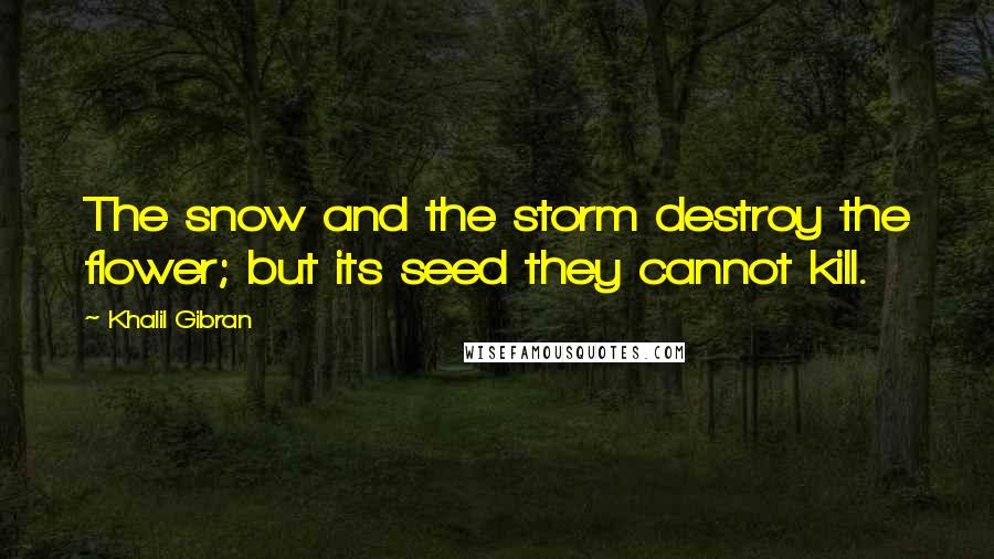 Khalil Gibran Quotes: The snow and the storm destroy the flower; but its seed they cannot kill.