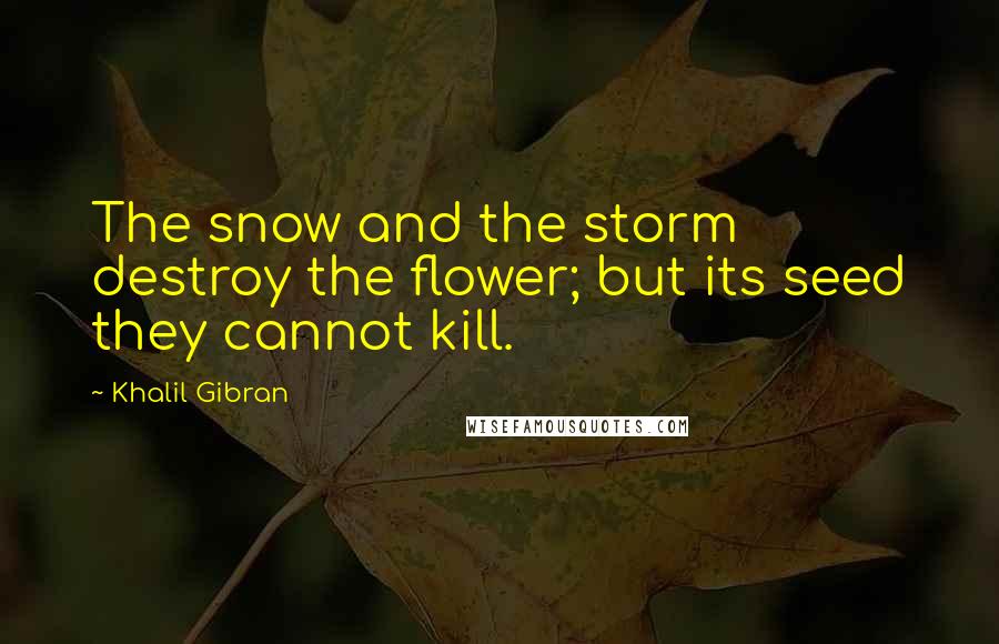 Khalil Gibran Quotes: The snow and the storm destroy the flower; but its seed they cannot kill.