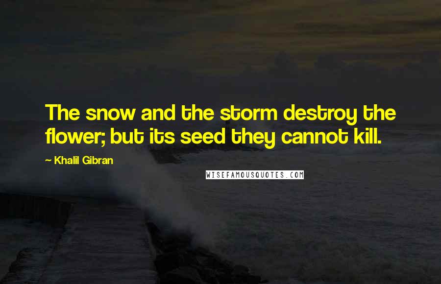 Khalil Gibran Quotes: The snow and the storm destroy the flower; but its seed they cannot kill.