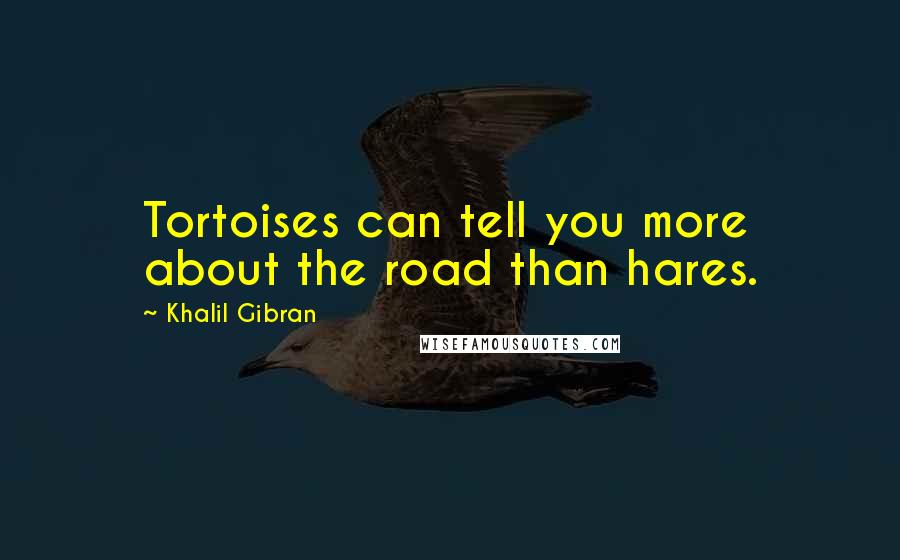 Khalil Gibran Quotes: Tortoises can tell you more about the road than hares.