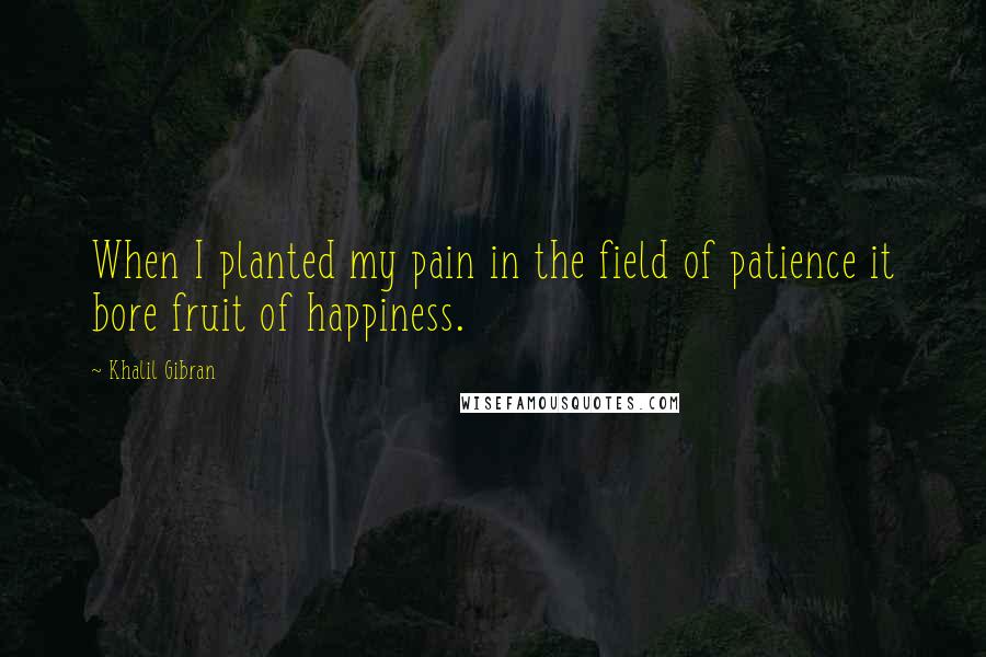 Khalil Gibran Quotes: When I planted my pain in the field of patience it bore fruit of happiness.