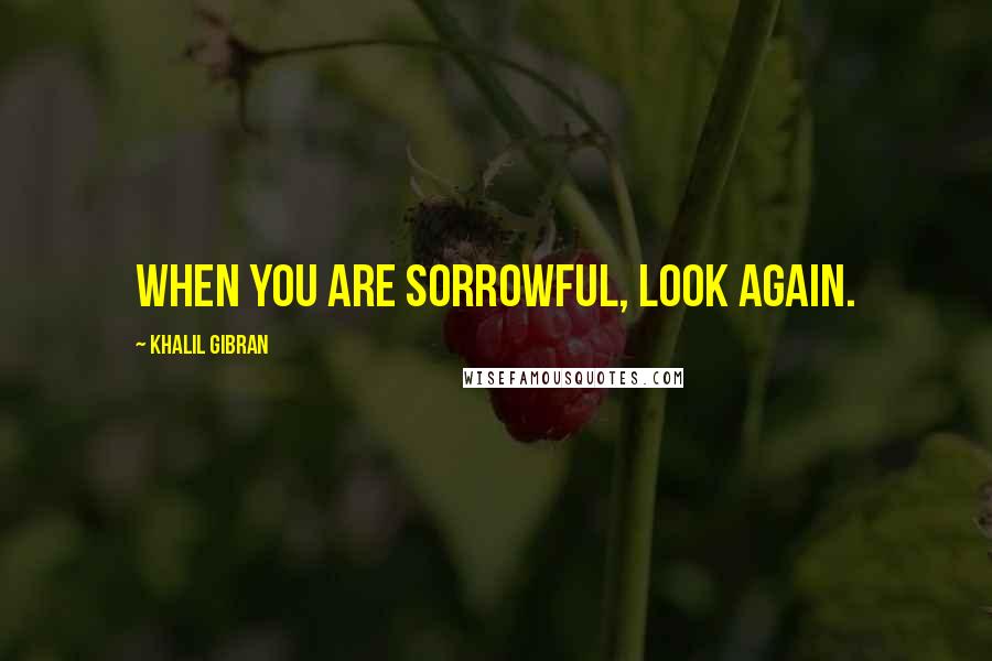 Khalil Gibran Quotes: When you are sorrowful, look again.