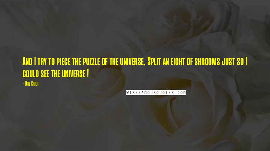 Kid Cudi Quotes: And I try to piece the puzzle of the universe, Split an eight of shrooms just so I could see the universe !