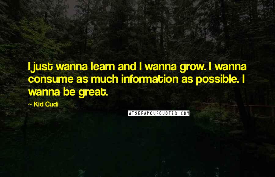 Kid Cudi Quotes: I just wanna learn and I wanna grow. I wanna consume as much information as possible. I wanna be great.