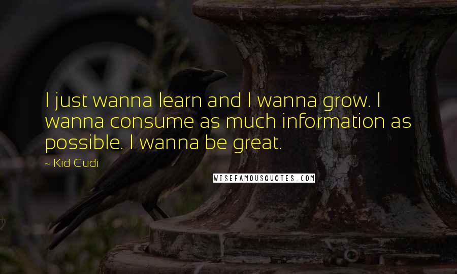 Kid Cudi Quotes: I just wanna learn and I wanna grow. I wanna consume as much information as possible. I wanna be great.