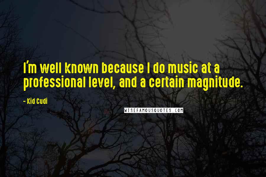 Kid Cudi Quotes: I'm well known because I do music at a professional level, and a certain magnitude.