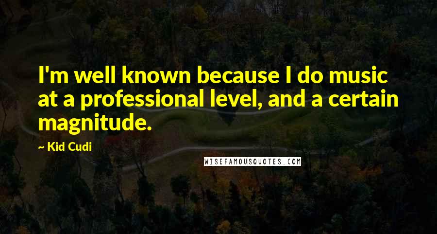 Kid Cudi Quotes: I'm well known because I do music at a professional level, and a certain magnitude.