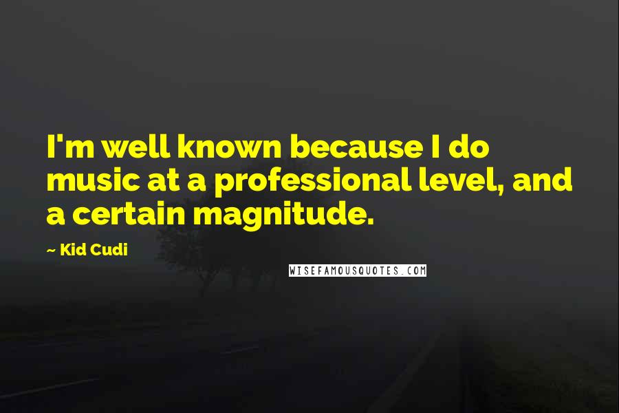 Kid Cudi Quotes: I'm well known because I do music at a professional level, and a certain magnitude.