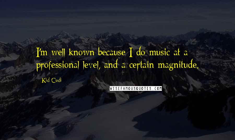 Kid Cudi Quotes: I'm well known because I do music at a professional level, and a certain magnitude.