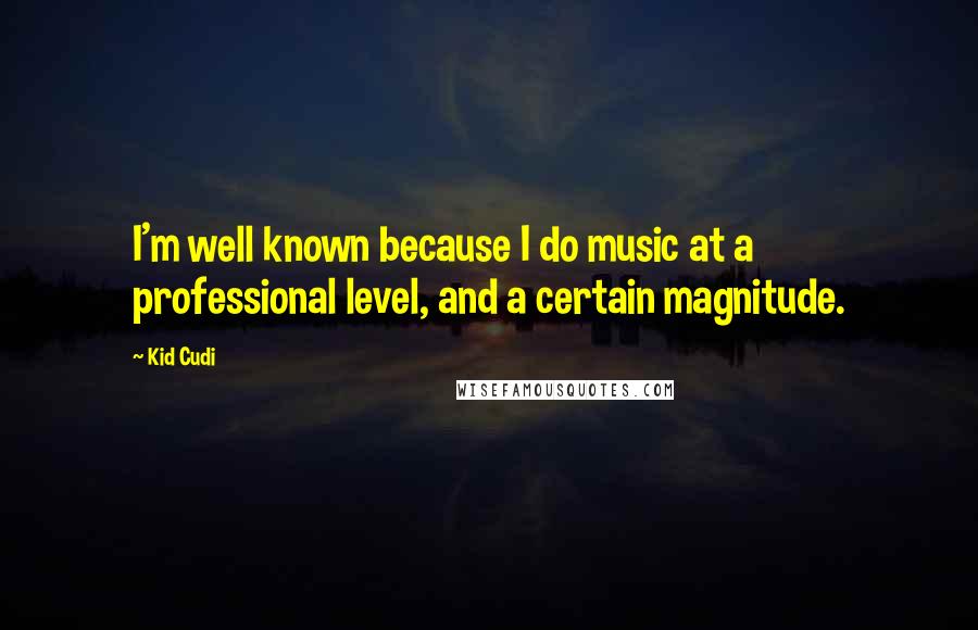 Kid Cudi Quotes: I'm well known because I do music at a professional level, and a certain magnitude.