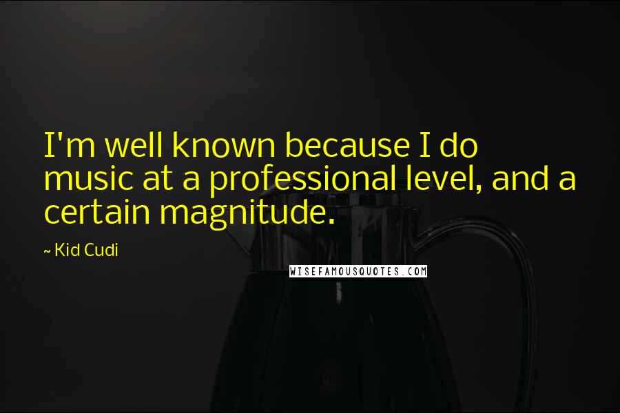 Kid Cudi Quotes: I'm well known because I do music at a professional level, and a certain magnitude.