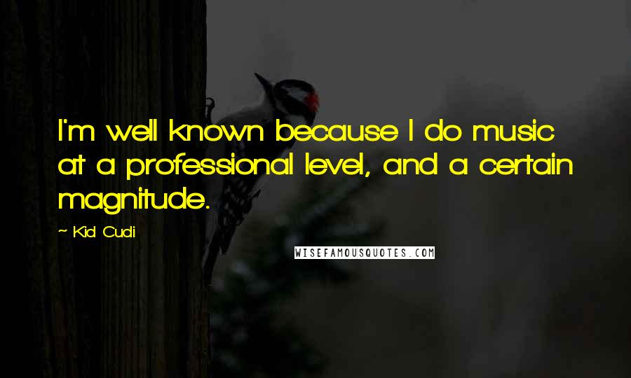 Kid Cudi Quotes: I'm well known because I do music at a professional level, and a certain magnitude.