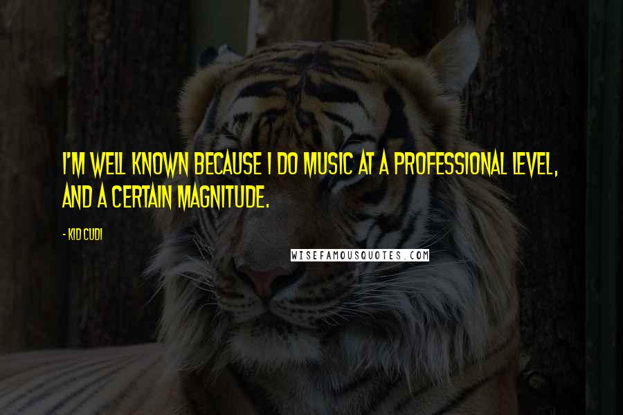 Kid Cudi Quotes: I'm well known because I do music at a professional level, and a certain magnitude.