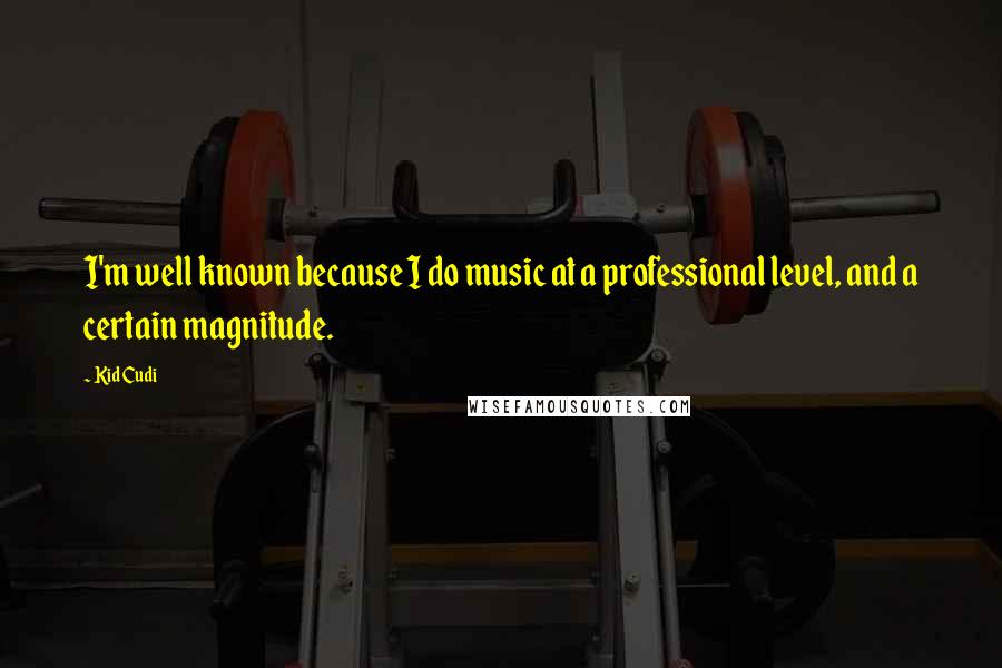 Kid Cudi Quotes: I'm well known because I do music at a professional level, and a certain magnitude.