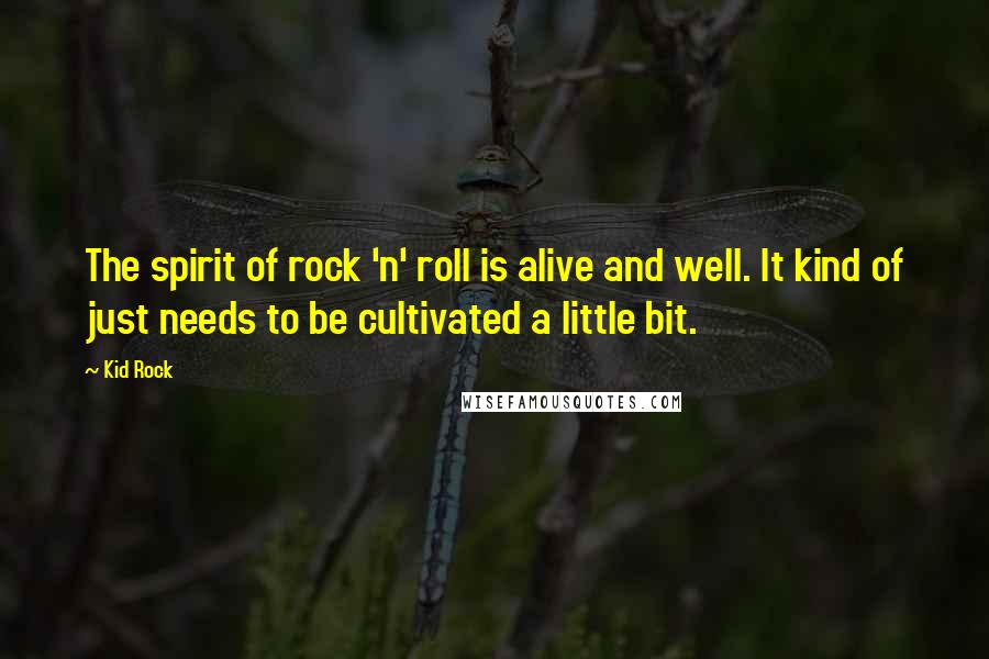 Kid Rock Quotes: The spirit of rock 'n' roll is alive and well. It kind of just needs to be cultivated a little bit.