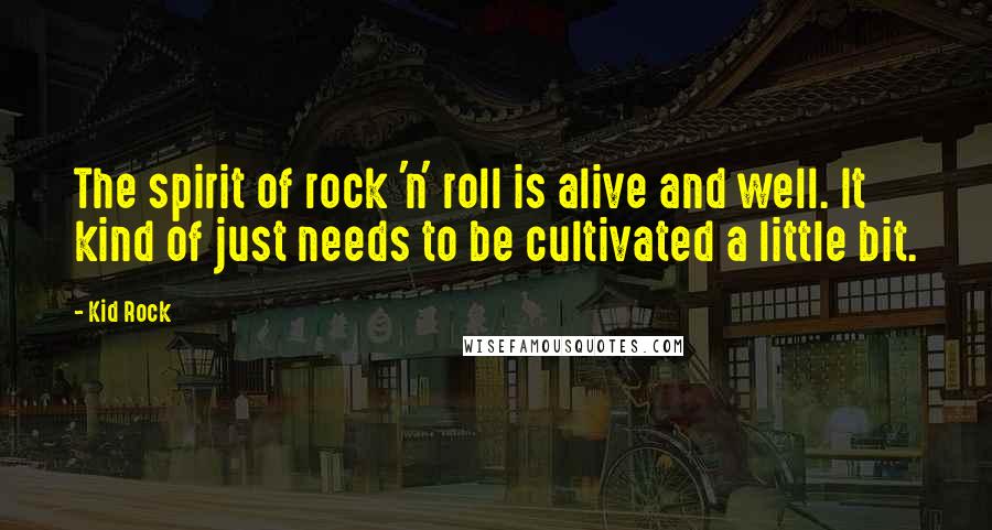 Kid Rock Quotes: The spirit of rock 'n' roll is alive and well. It kind of just needs to be cultivated a little bit.