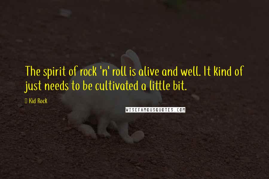 Kid Rock Quotes: The spirit of rock 'n' roll is alive and well. It kind of just needs to be cultivated a little bit.