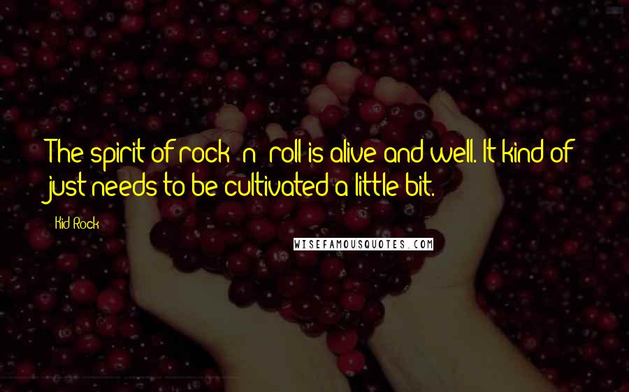 Kid Rock Quotes: The spirit of rock 'n' roll is alive and well. It kind of just needs to be cultivated a little bit.