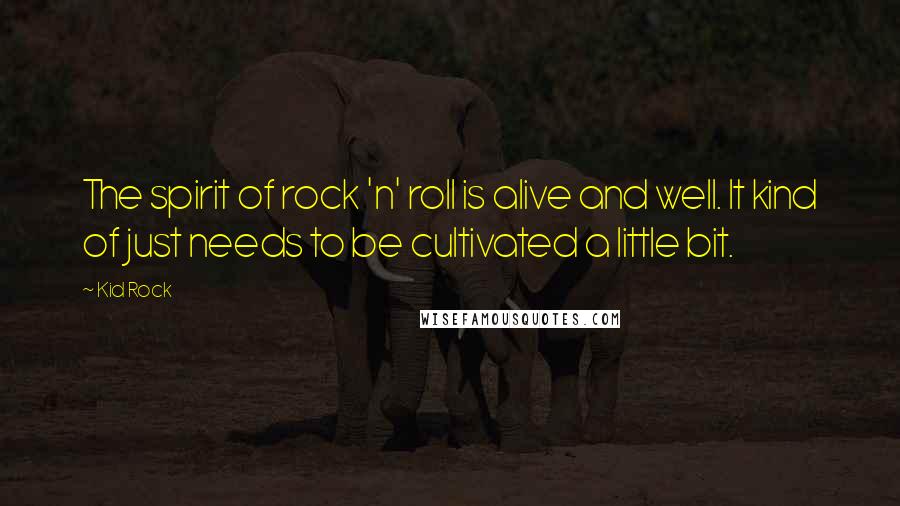 Kid Rock Quotes: The spirit of rock 'n' roll is alive and well. It kind of just needs to be cultivated a little bit.