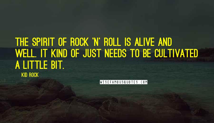 Kid Rock Quotes: The spirit of rock 'n' roll is alive and well. It kind of just needs to be cultivated a little bit.