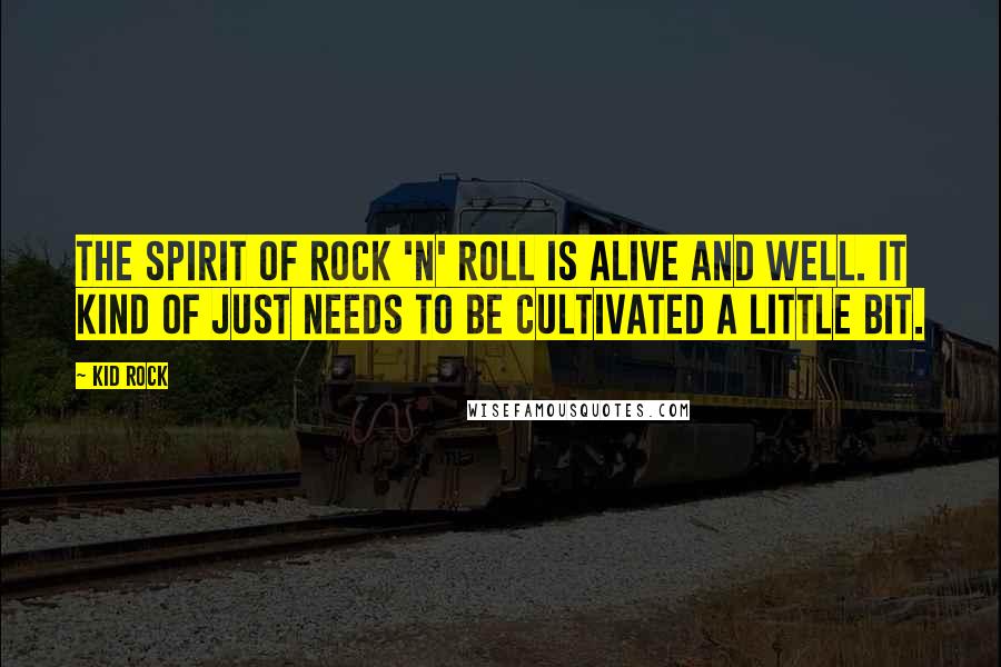 Kid Rock Quotes: The spirit of rock 'n' roll is alive and well. It kind of just needs to be cultivated a little bit.