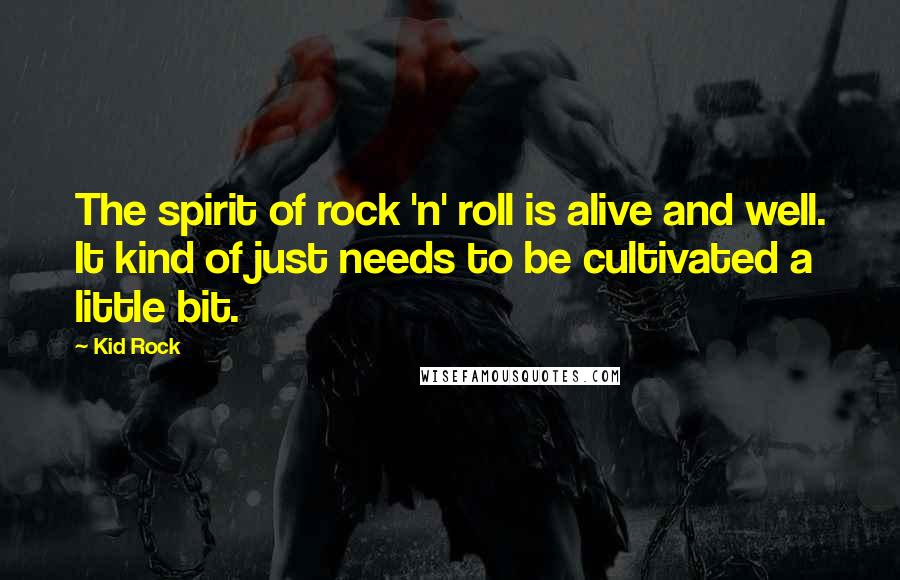 Kid Rock Quotes: The spirit of rock 'n' roll is alive and well. It kind of just needs to be cultivated a little bit.