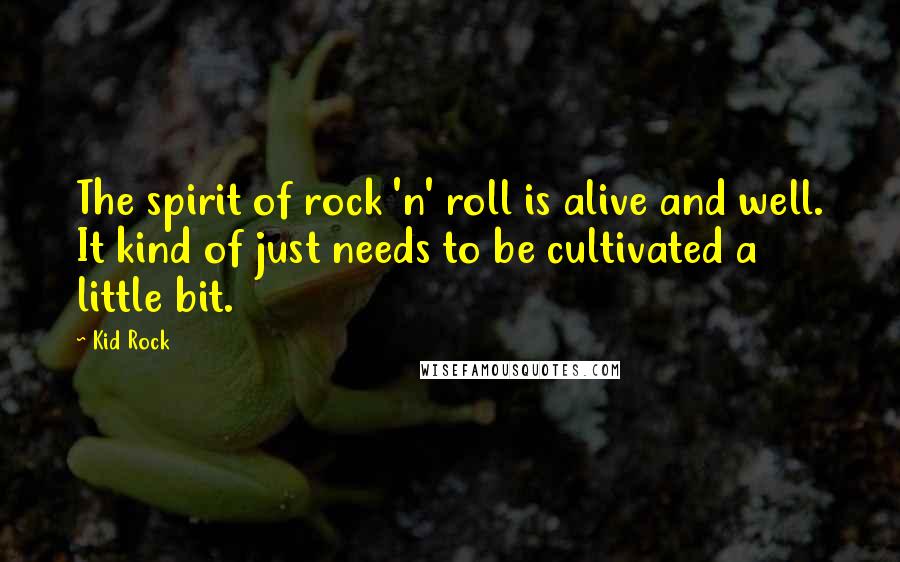 Kid Rock Quotes: The spirit of rock 'n' roll is alive and well. It kind of just needs to be cultivated a little bit.