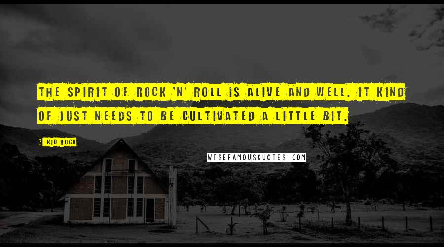 Kid Rock Quotes: The spirit of rock 'n' roll is alive and well. It kind of just needs to be cultivated a little bit.