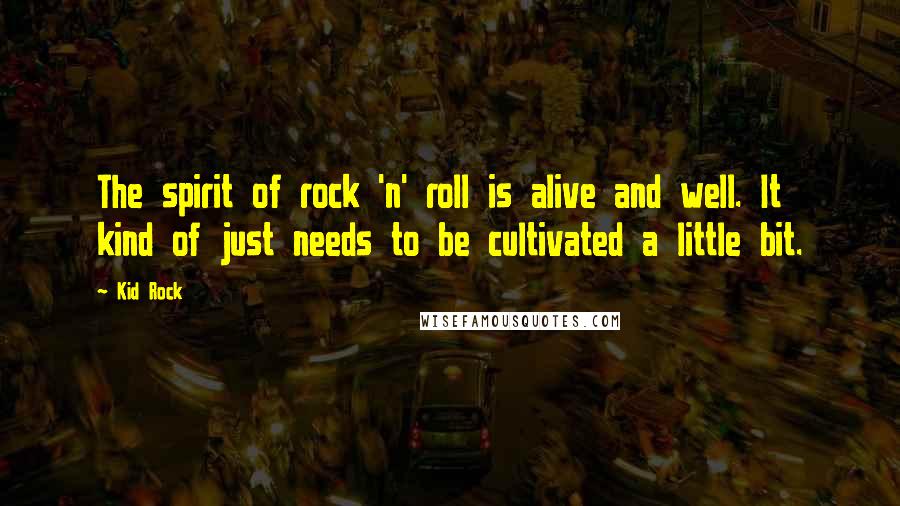 Kid Rock Quotes: The spirit of rock 'n' roll is alive and well. It kind of just needs to be cultivated a little bit.