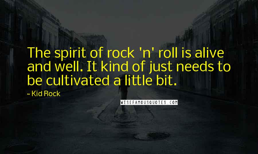 Kid Rock Quotes: The spirit of rock 'n' roll is alive and well. It kind of just needs to be cultivated a little bit.