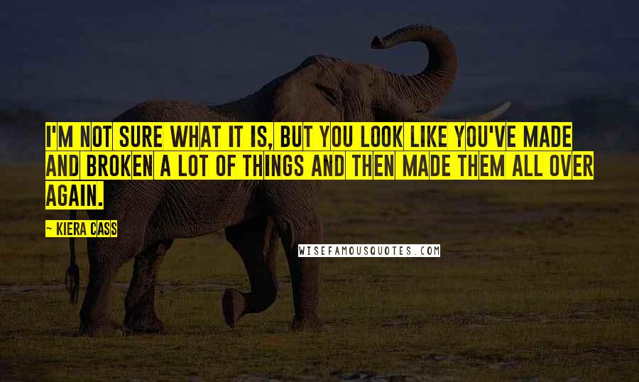 Kiera Cass Quotes: I'm not sure what it is, but you look like you've made and broken a lot of things and then made them all over again.