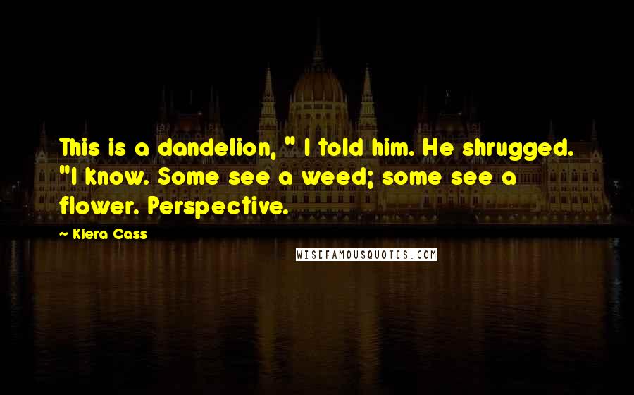 Kiera Cass Quotes: This is a dandelion, " I told him. He shrugged. "I know. Some see a weed; some see a flower. Perspective.